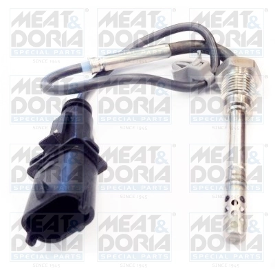 Sensor, exhaust gas temperature